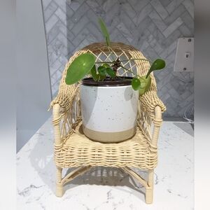 Wicker chair plant stand